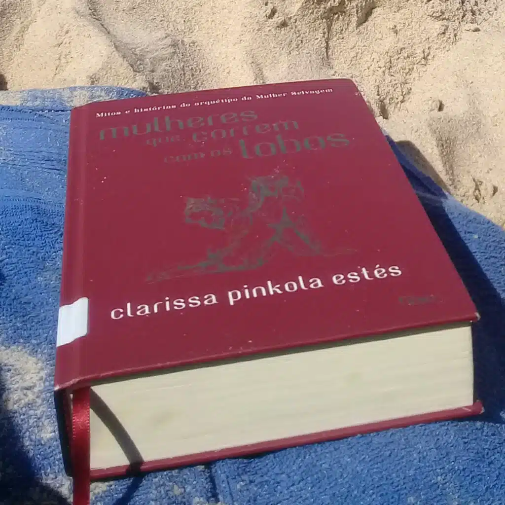 Mulheres que correm com os lobos. Clarissa Pínkola E. “A perda do sentido da alma como iniciação.”