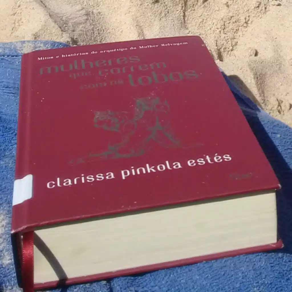 Mulheres que correm com os Lobos |Clarissa Pínkola Estes| Parte2- “O Rio em chamas.”