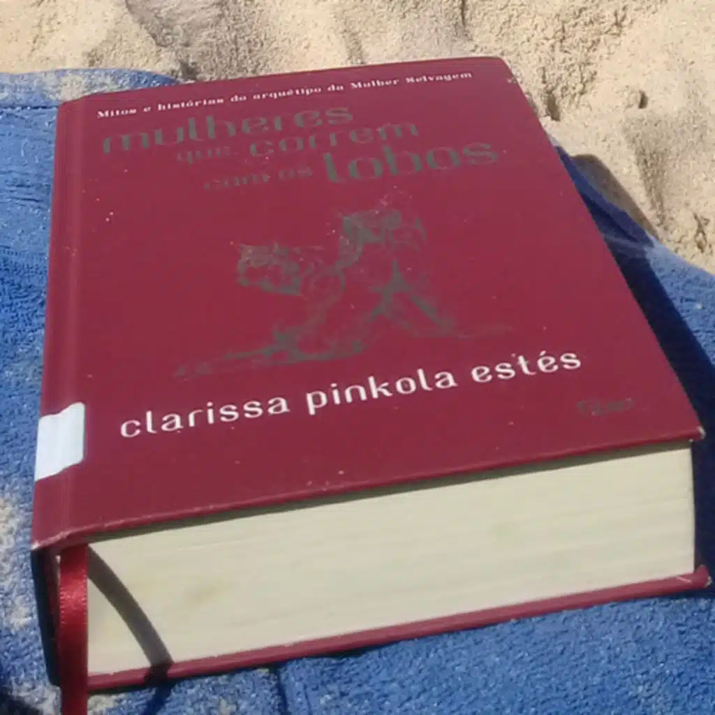 Mulheres que correm com os Lobos | Clarissa Pínkola Estes- “ Reassumindo o Rio.”