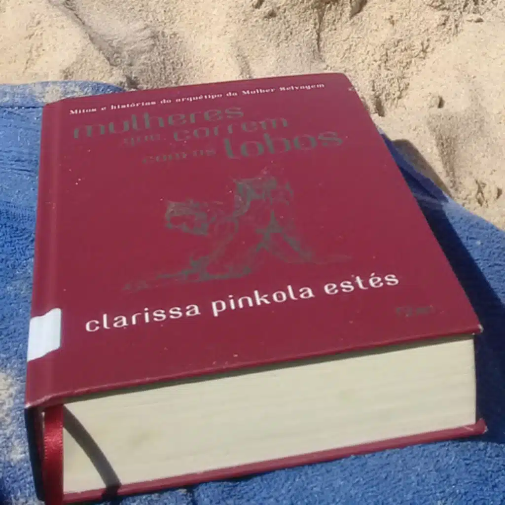 Mulheres que correm com os Lobos | Clarissa Pínkola Estes| Parte2. “Reassumindo o Rio.”