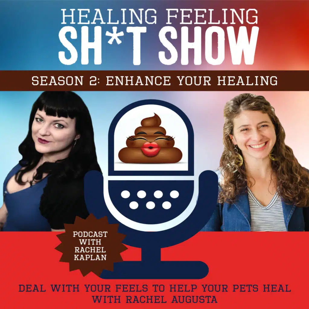 Deal with Your Feels to Help Your Pets Heal with Rachel Augusta
