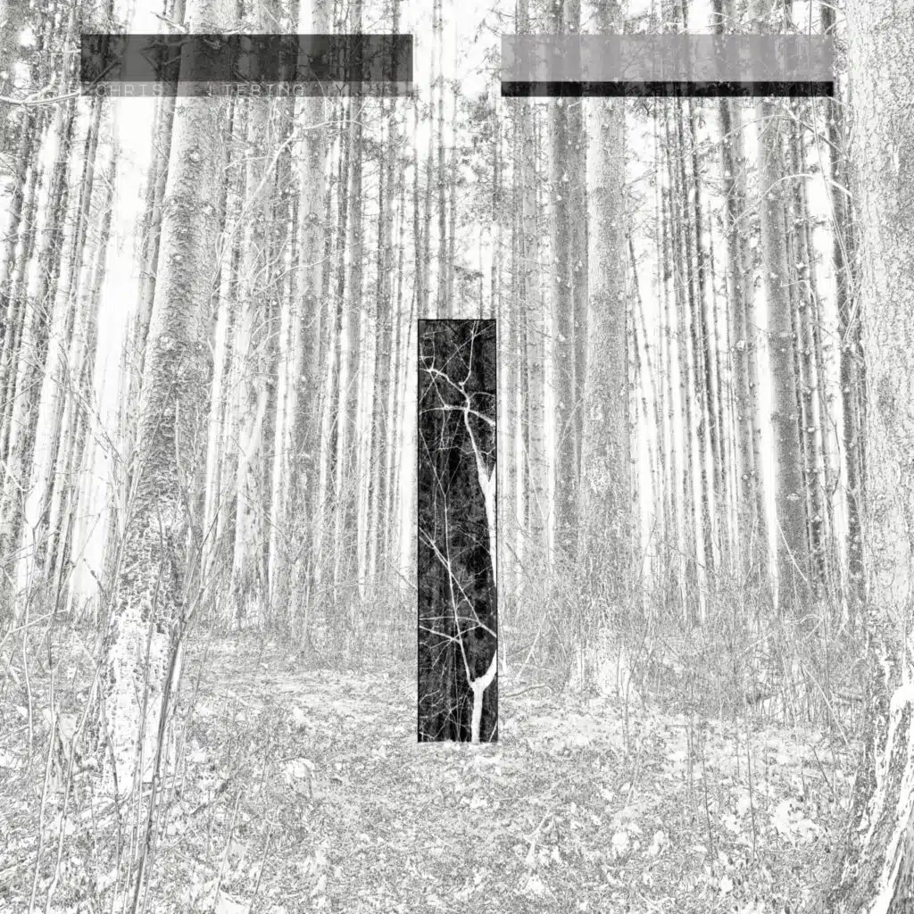 Another Day (Radio Slave Remix) [feat. Polly Scattergood]