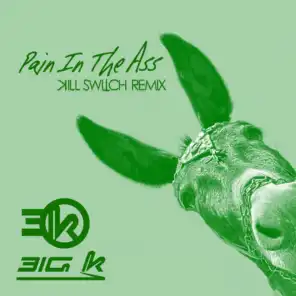 Pain In The Ass (Kill Switch Remix)