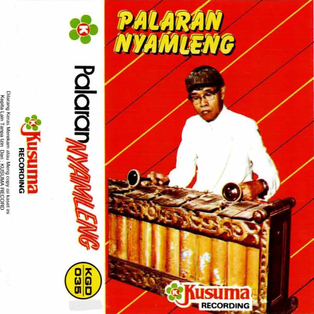 Palaran Nyamleng
