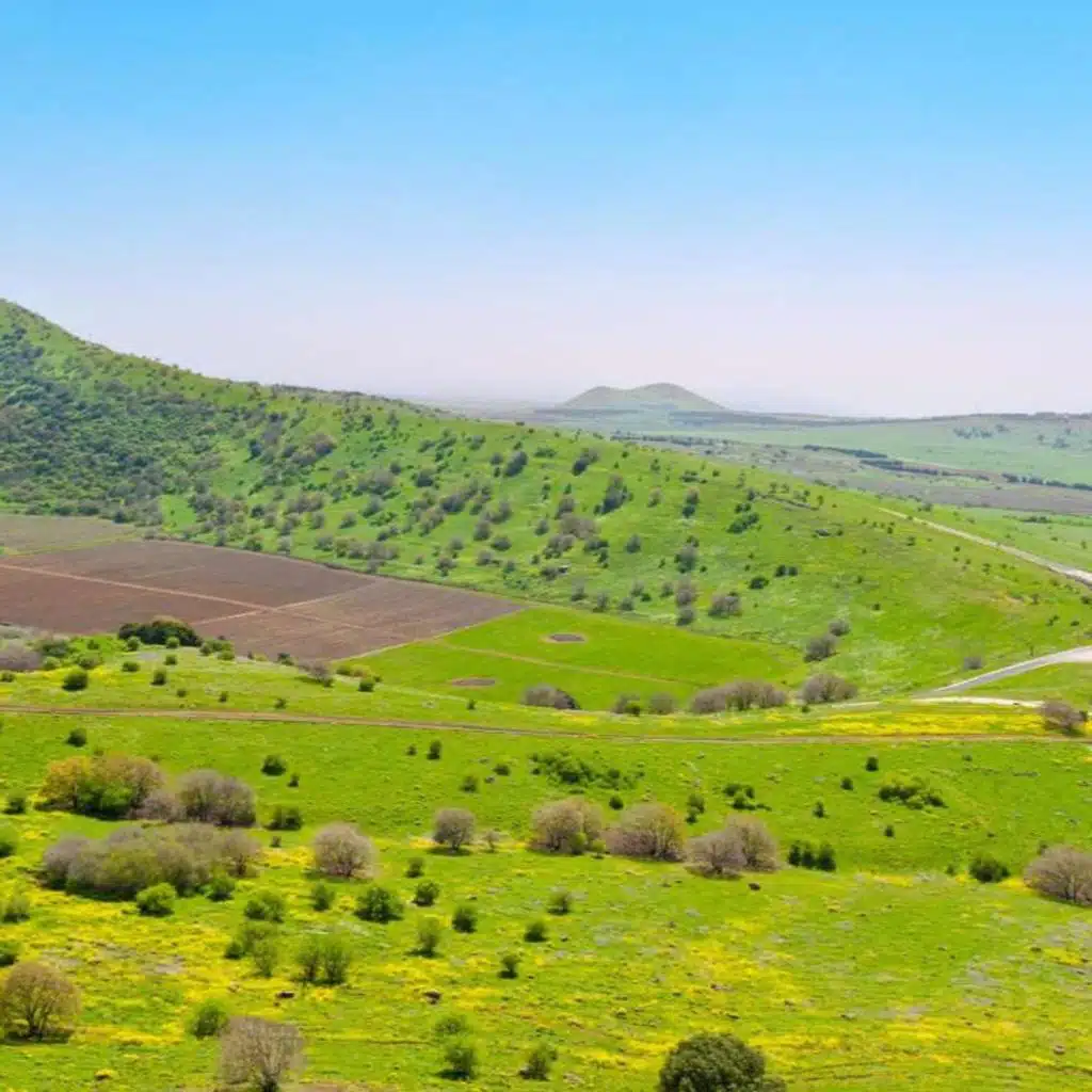 118. L’héritage des 7 dernières tribus d’Israël en Canaan (Josué 18:1-10)