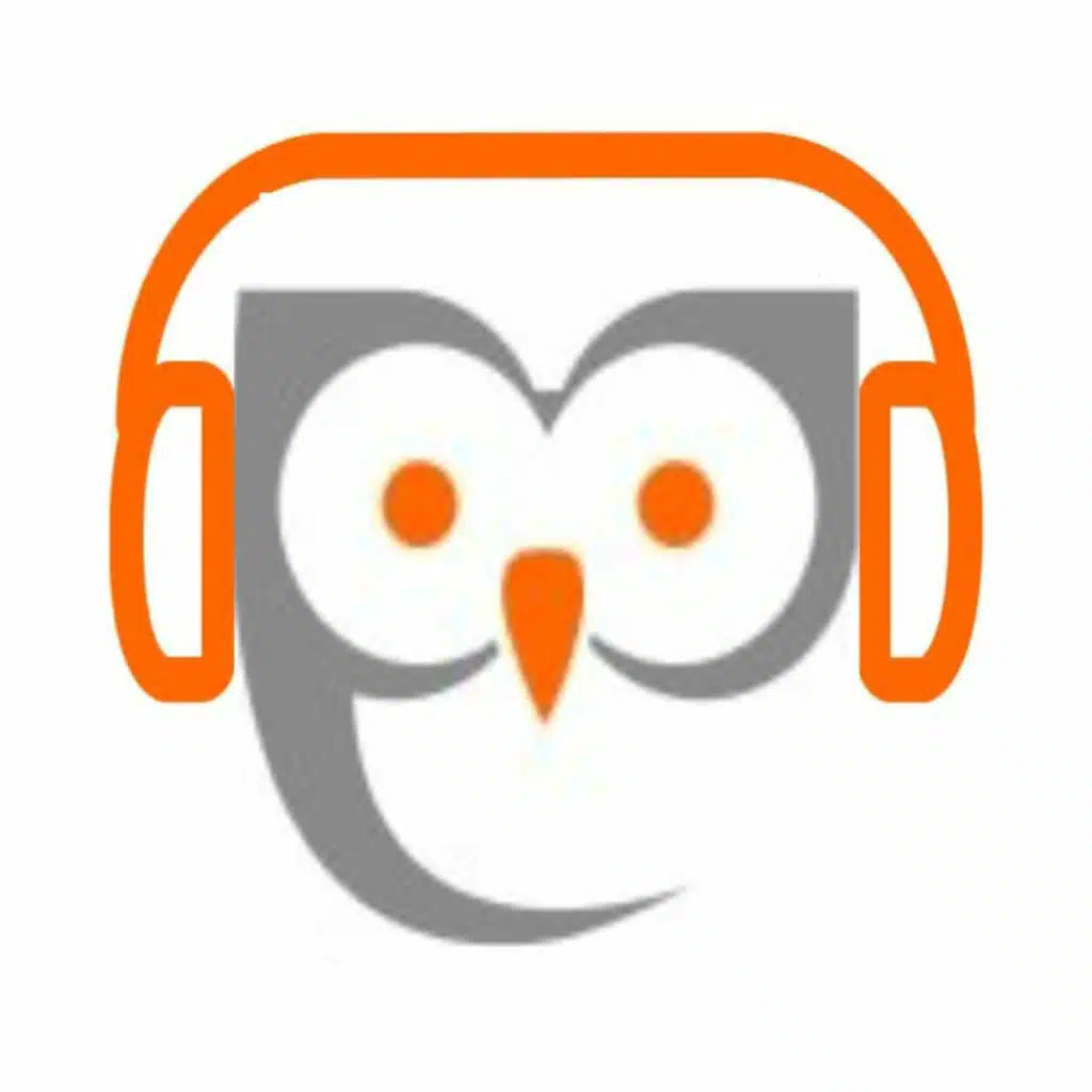 35 Zeg het in het Nederlands