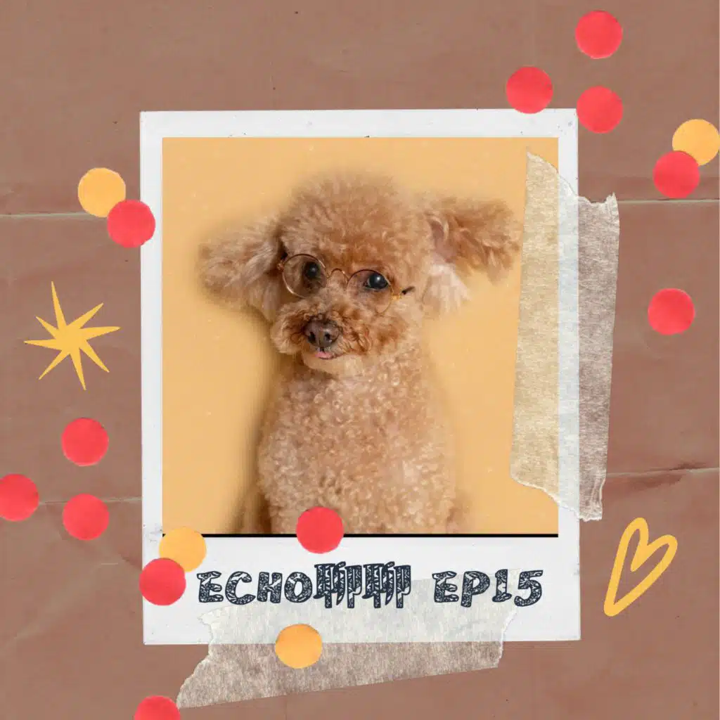 我的愛不容懷疑！貓狗主人的內心話大公開