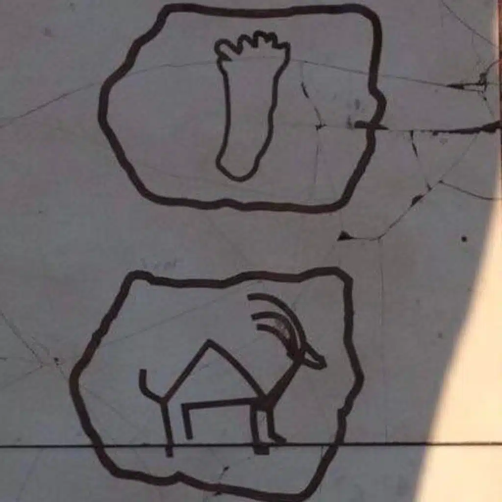 PAR