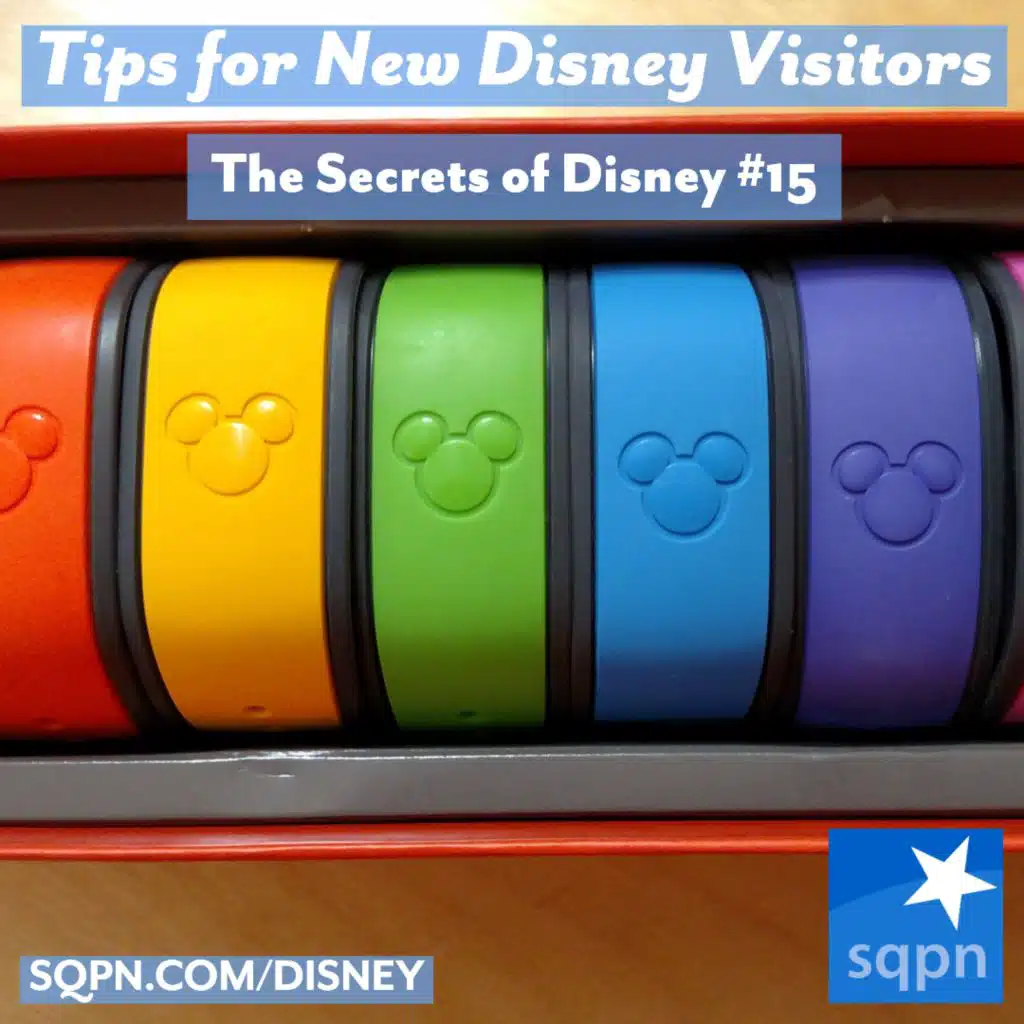 Tips for New Disney Visitors