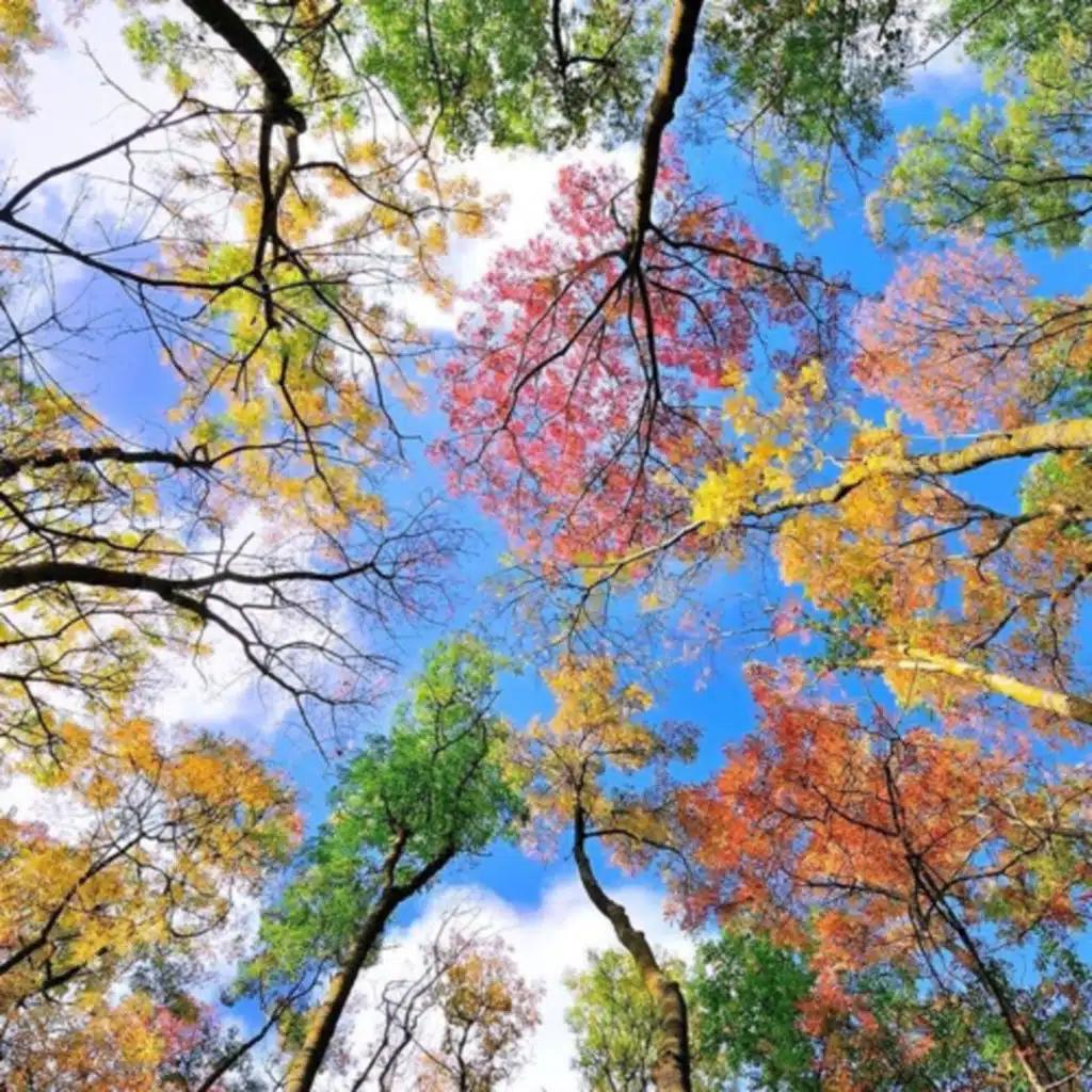 Retreat to nature. 