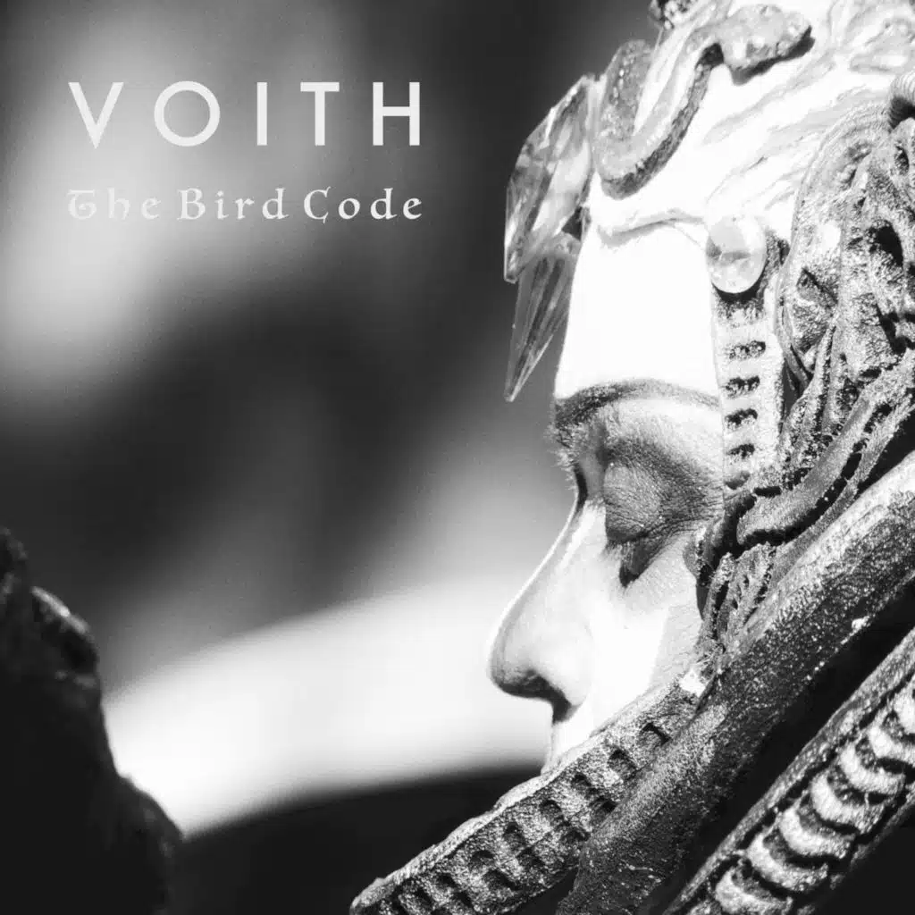 The Bird Code