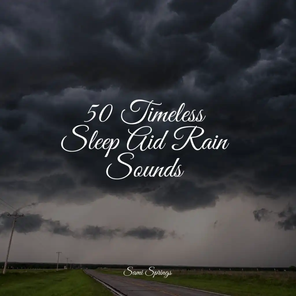 50 Timeless Sleep Aid Rain Sounds