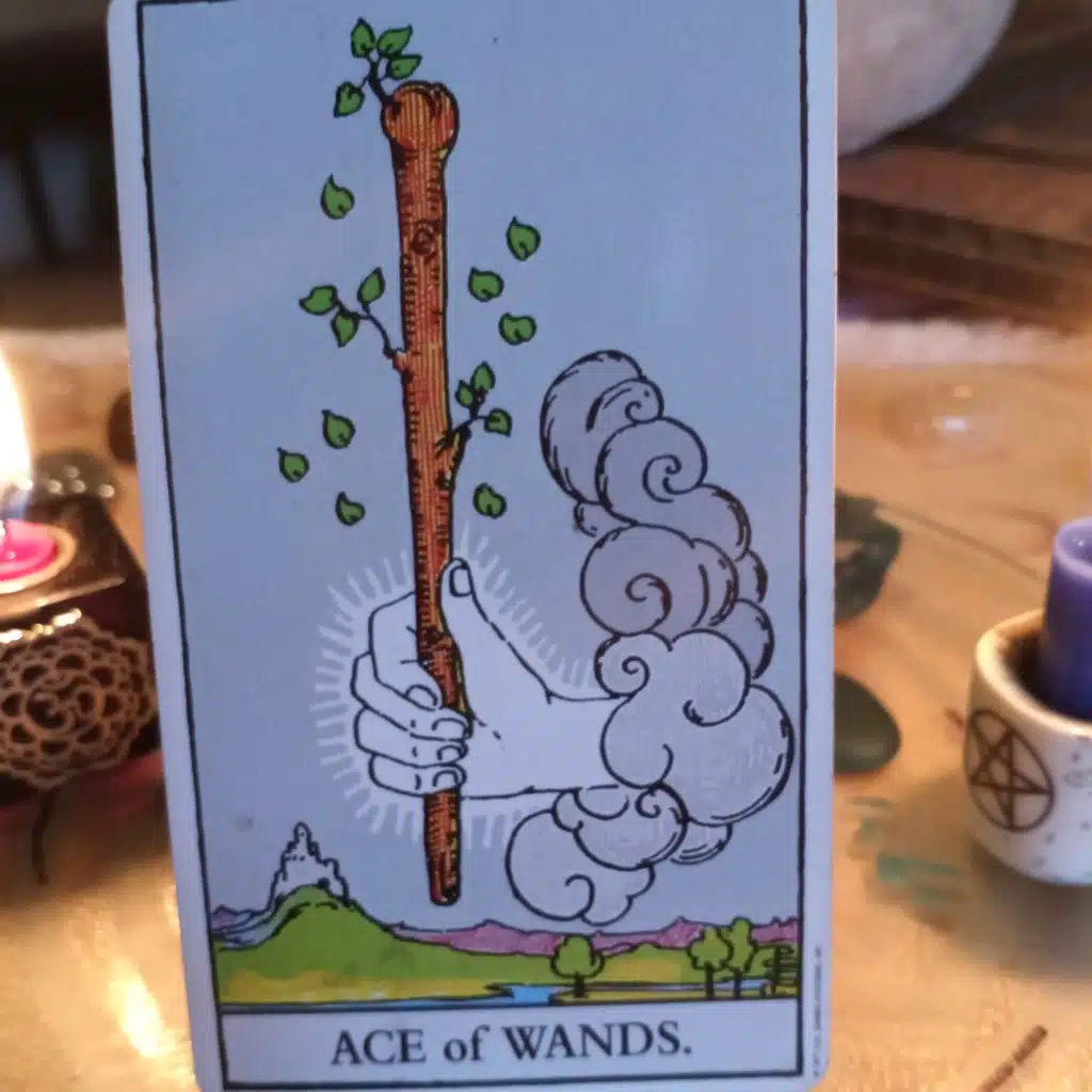 Ace of Wands (R)-Coffee Tea Tarot S1:EP64