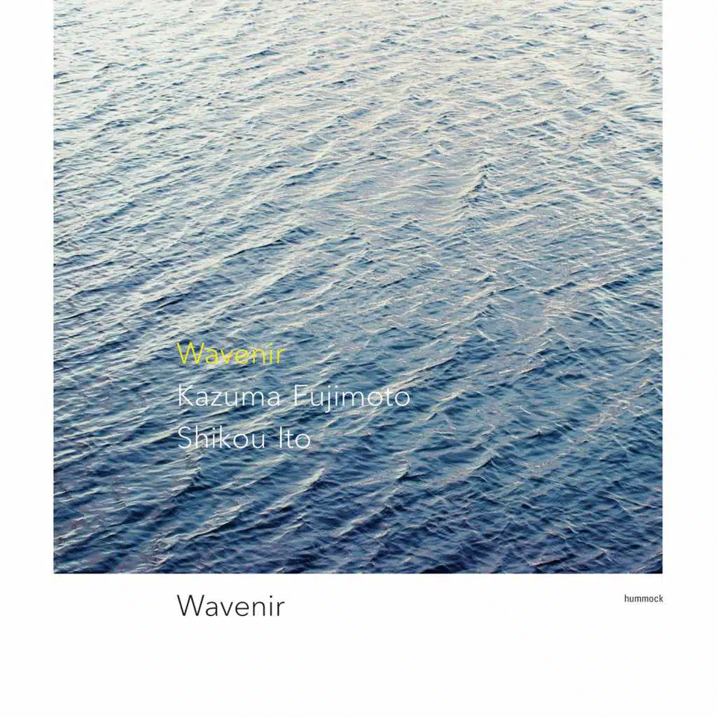 Wavenir
