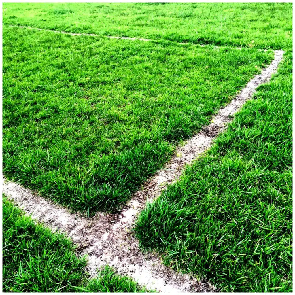 Futbolistas Frustrados