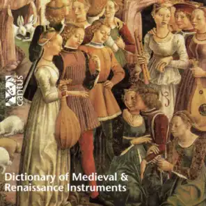 Paduana del re (Renaisance Lute, Archlute & Guitar)