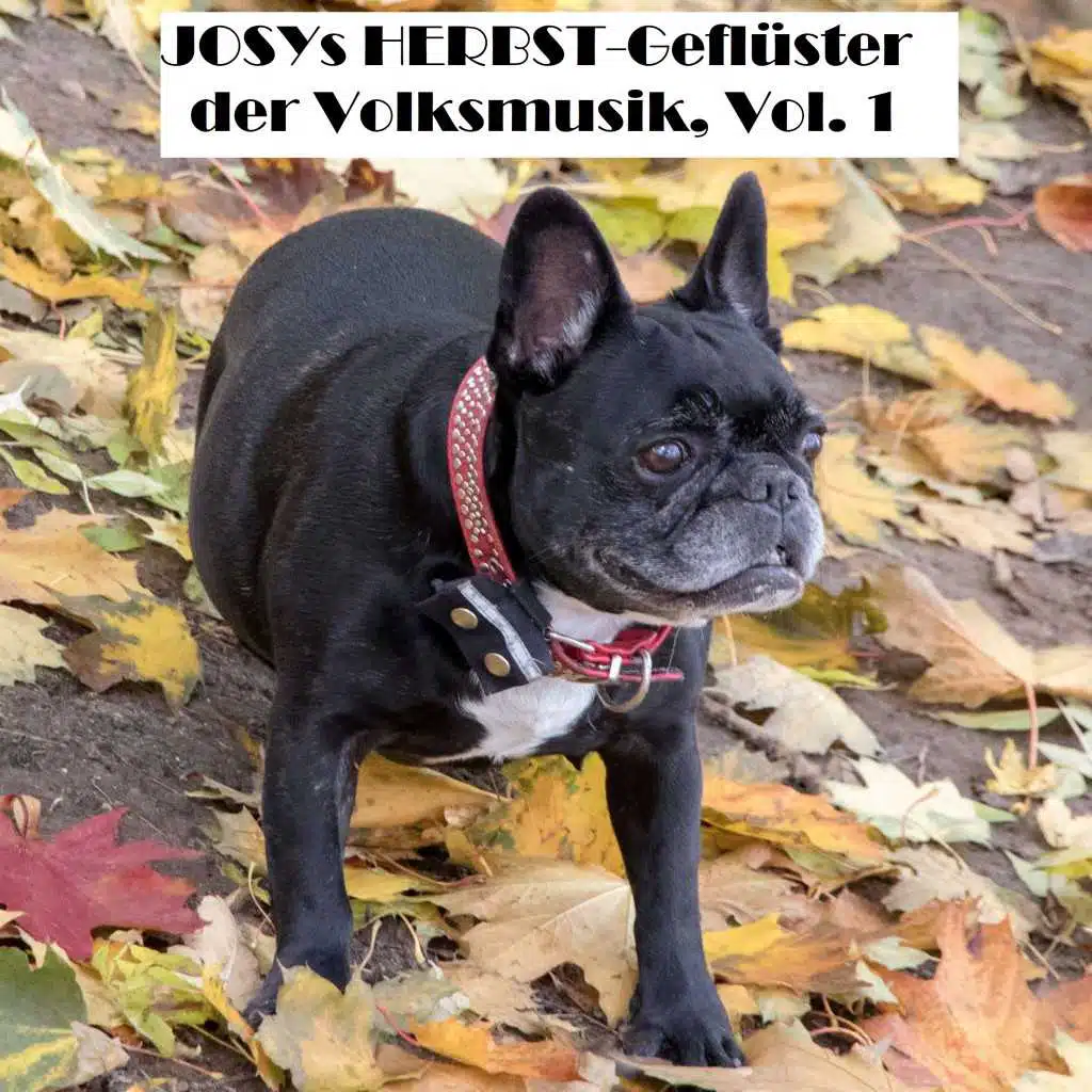 Fest der grünen Blätter