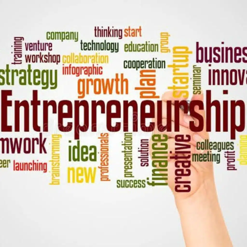 what is entrepreneurship , who is an entrepreneur, importance of being an entrepreneur 