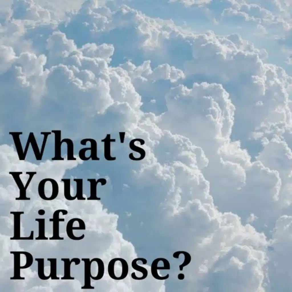 Purpose of life 