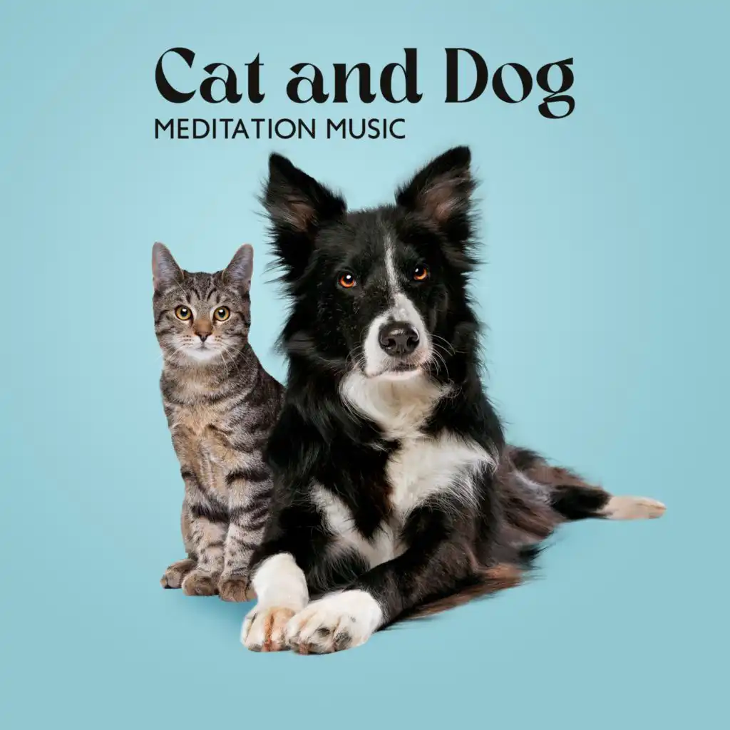 Cat and Dog Meditation Music (Soothing Music for Dogs Ears, Relaxing Music for Dogs and Cats)