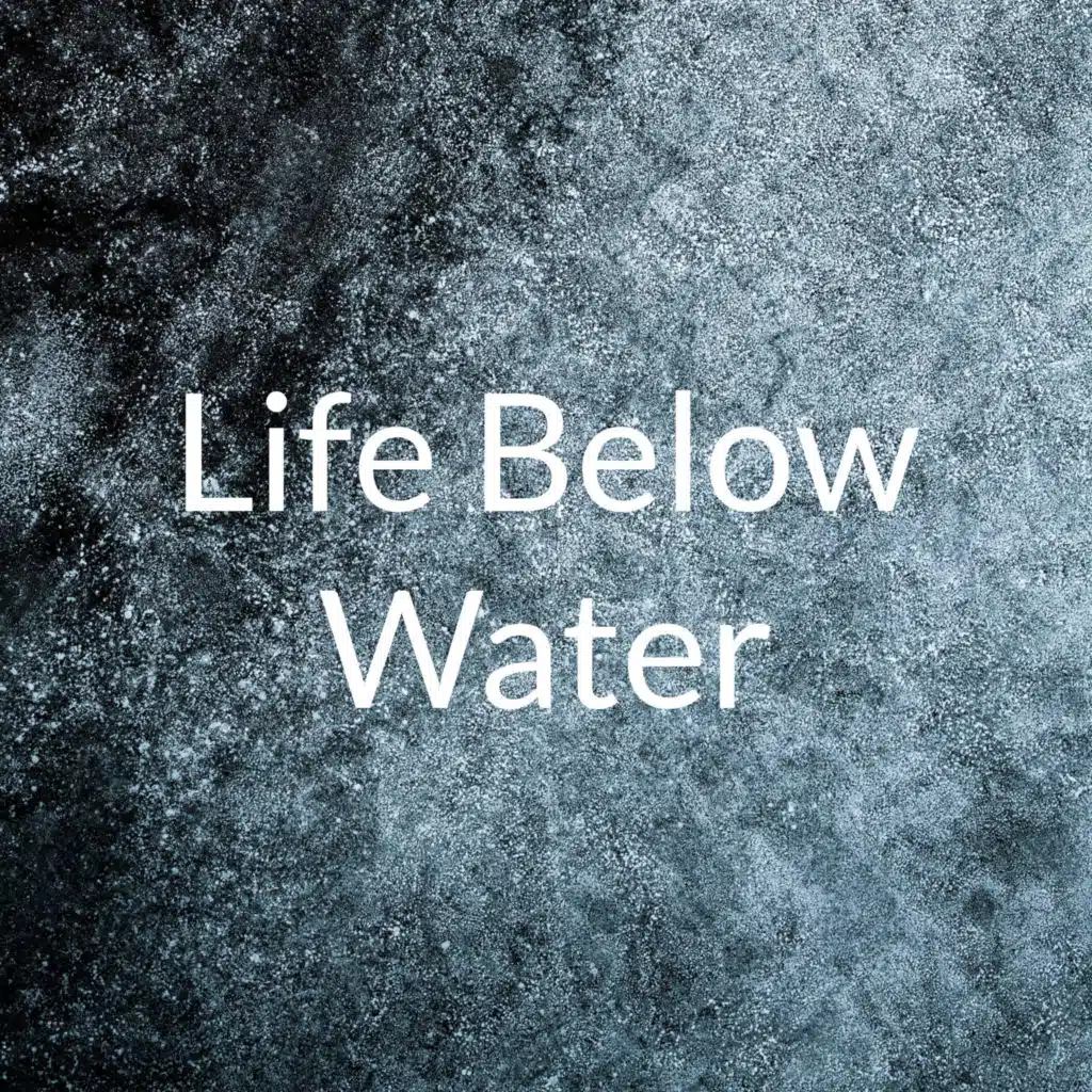 Life Below water