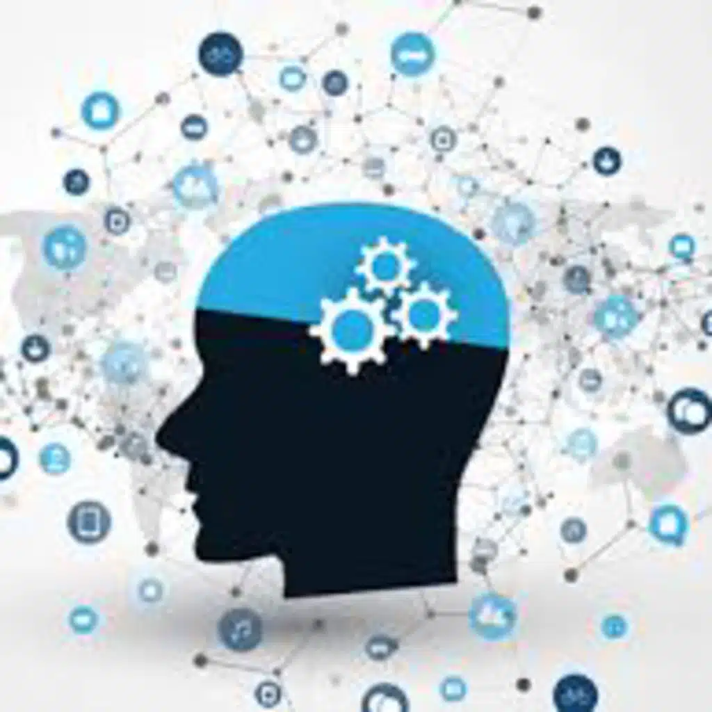 ကိုယ်စားပြုစနစ်များ