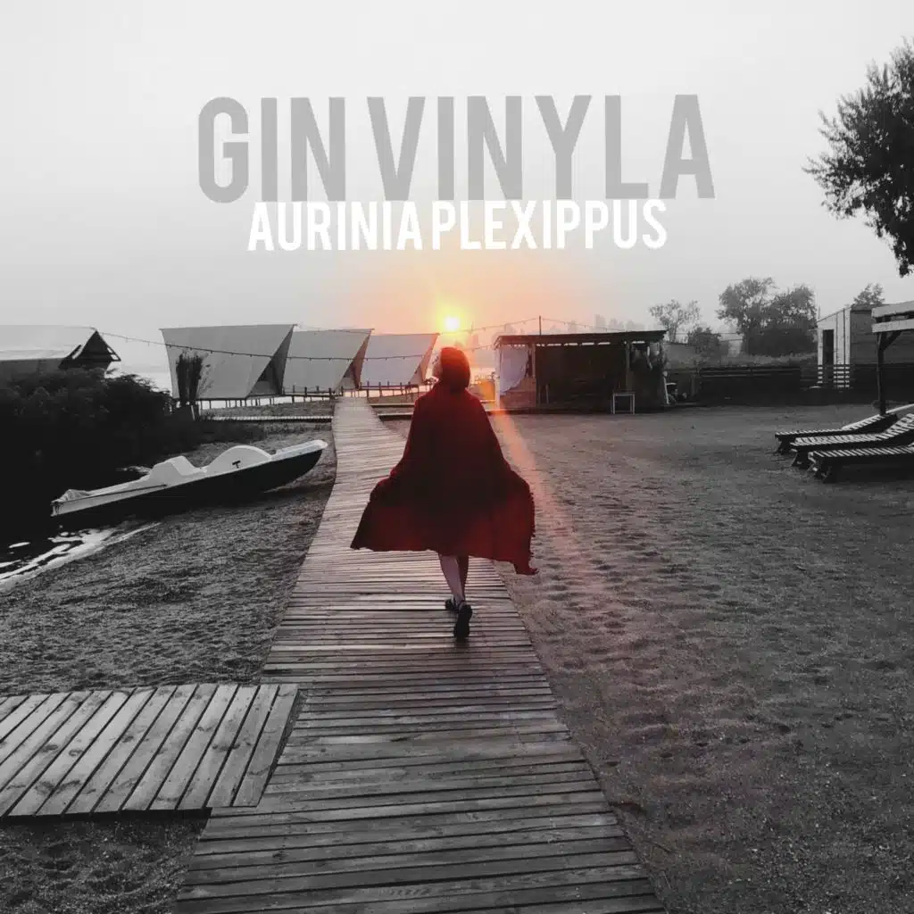 Gin Vinyla