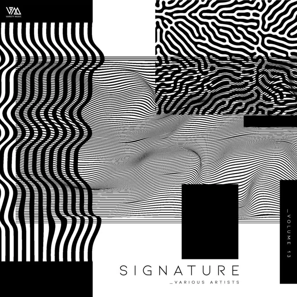 Variety Music Pres. Signature, Vol. 13