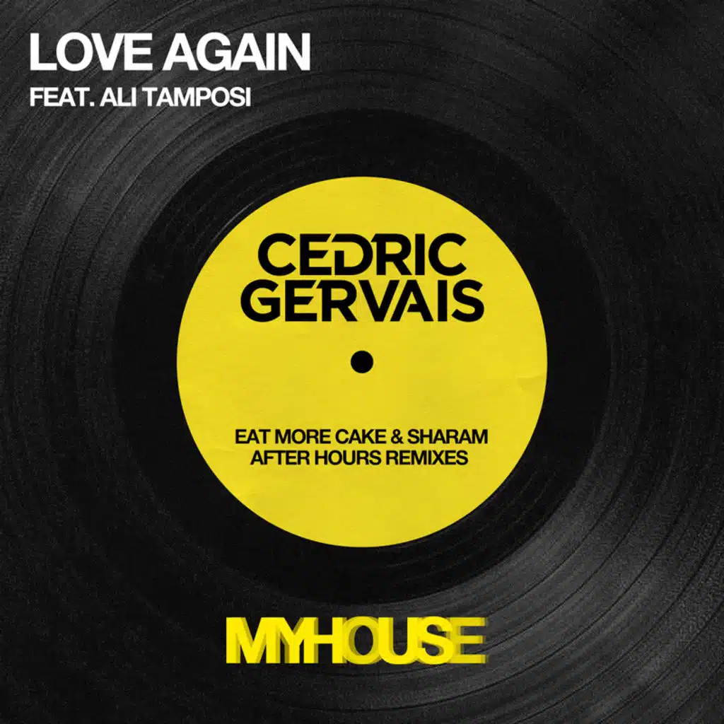 Love Again (Sharam Acid House Remix) [feat. Ali Tamposi]