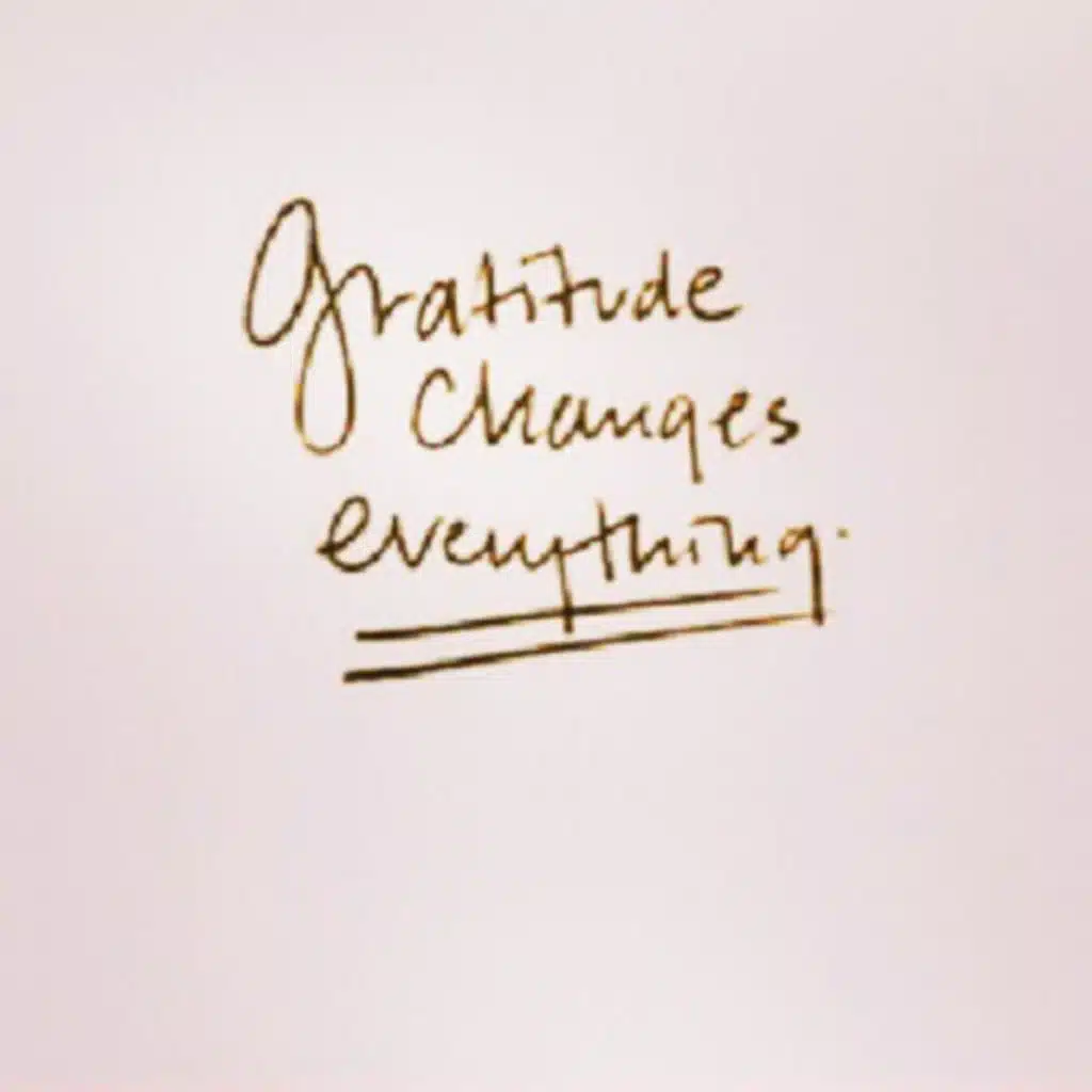 Gratitude 