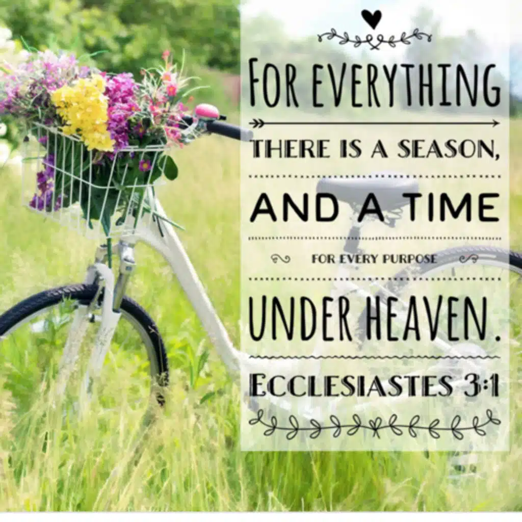 Change in different seasons