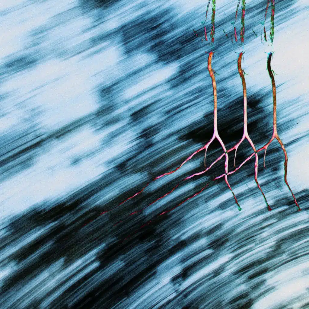 the branches shake with excitement (silence urself for her)