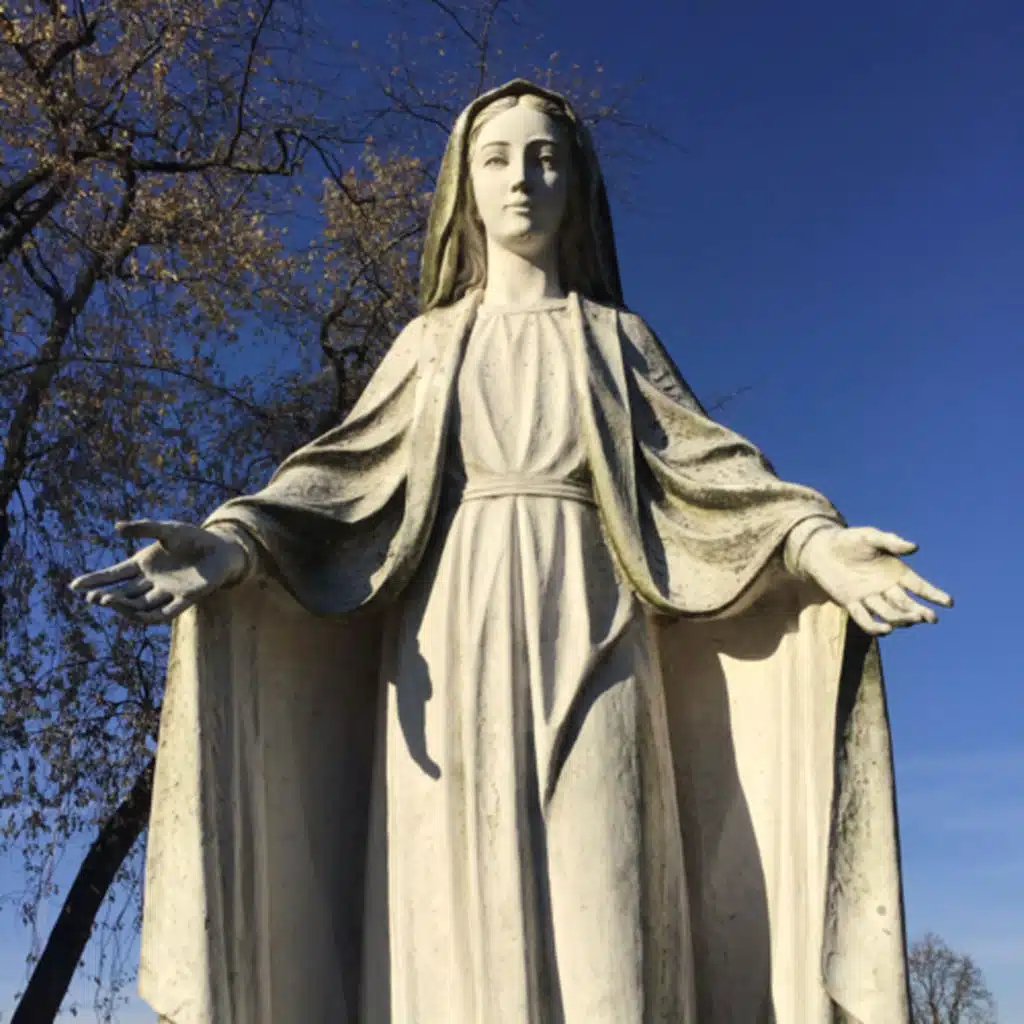 32nd Sunday in Ordinary Time