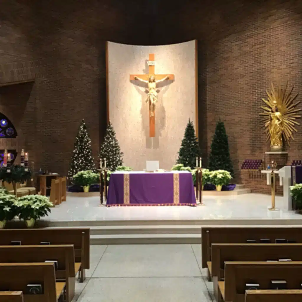 Feast of the Immaculate Conception of the Blessed Virgin Mary 