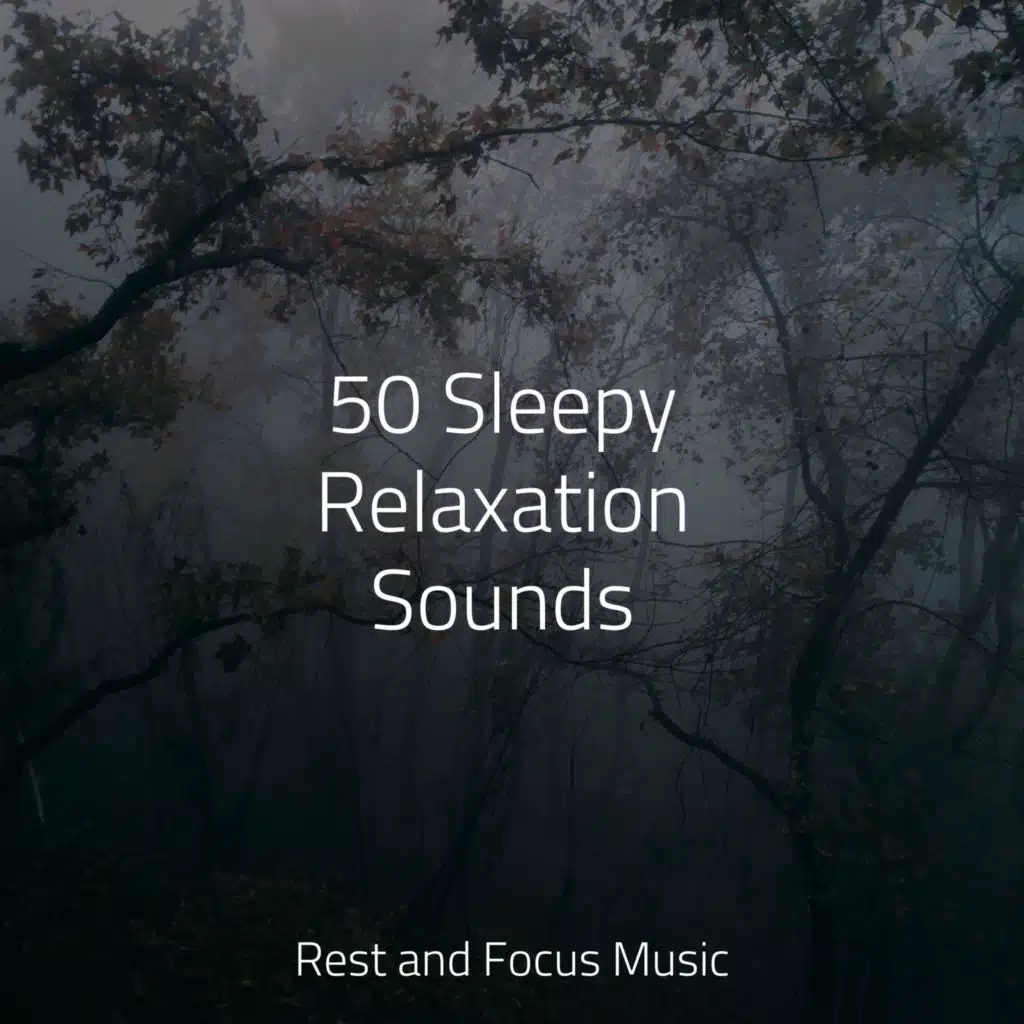 Relaxation Music Guru & Massagem Coleção de Músicas