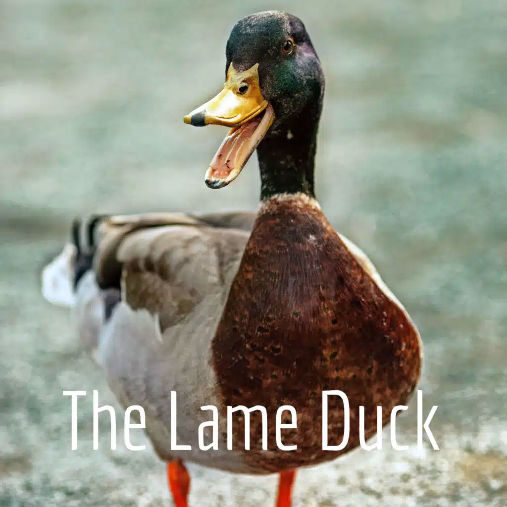 The Lame Duck