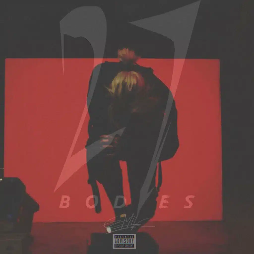 27 Bodies