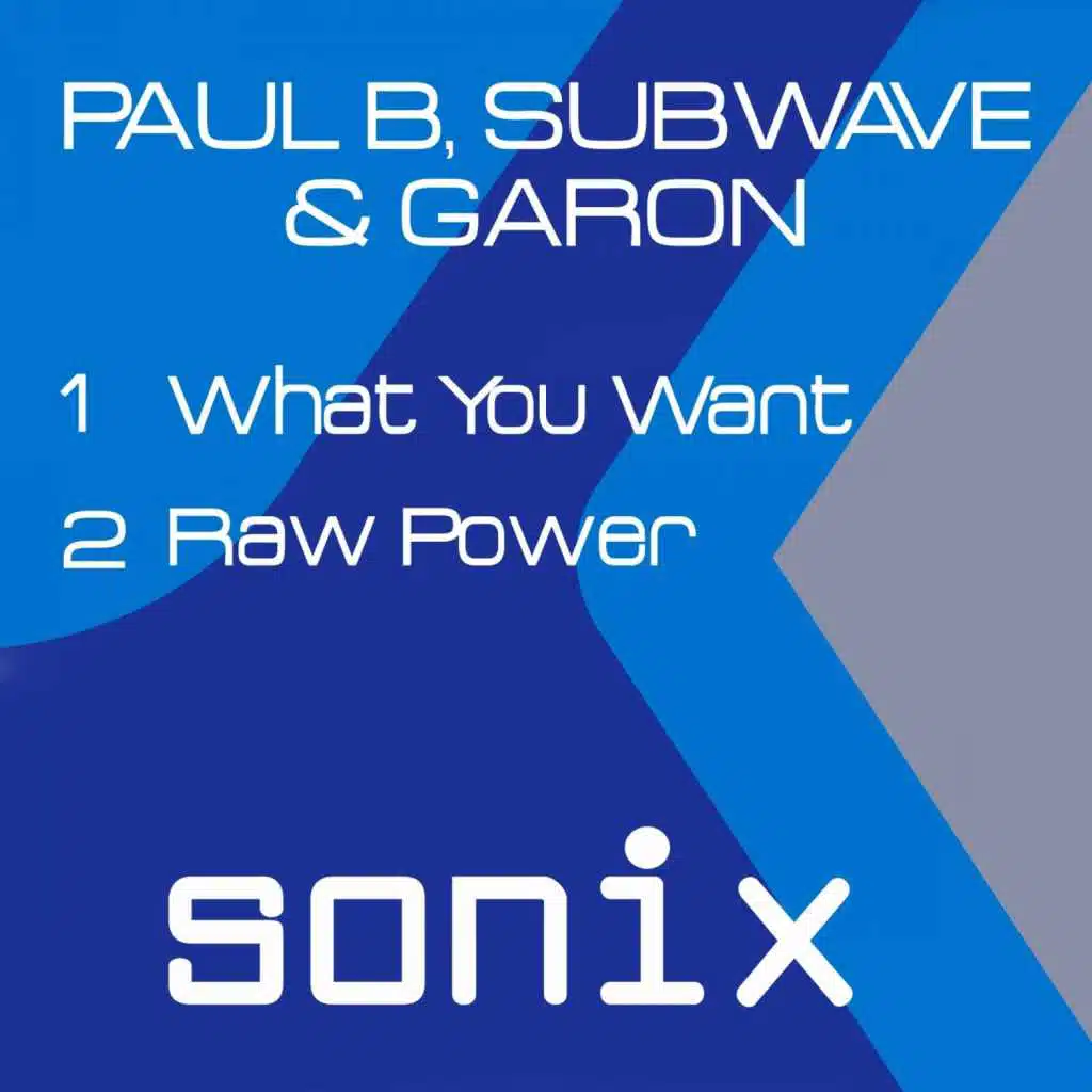 What You Want / Raw Power