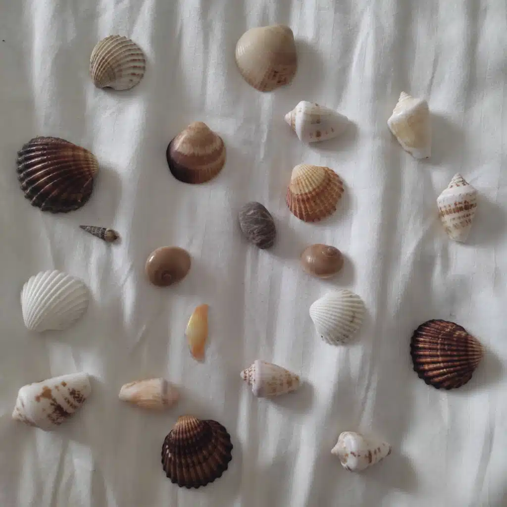 Über Urlaub und Muscheln