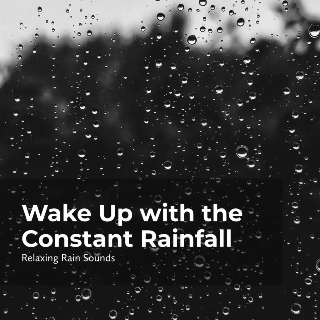 Wake Up with the Constant Rainfall