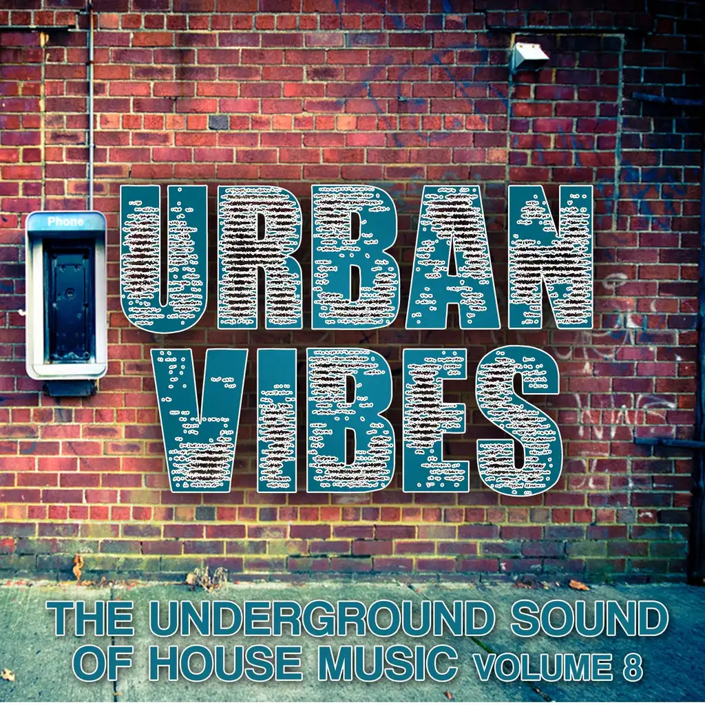 Urban Vibes (The Underground Sound of House Music, Vol. 8)