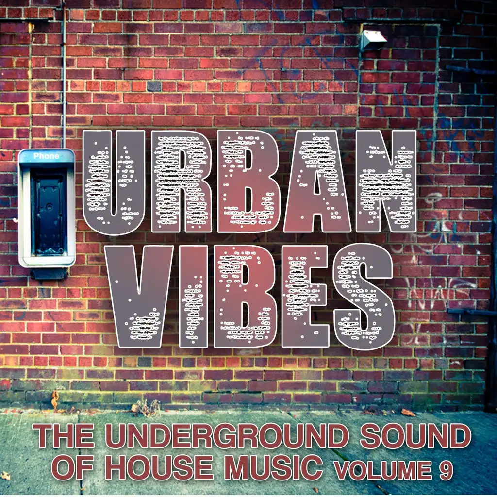 Urban Vibes (The Underground Sound of House Music, Vol. 9)