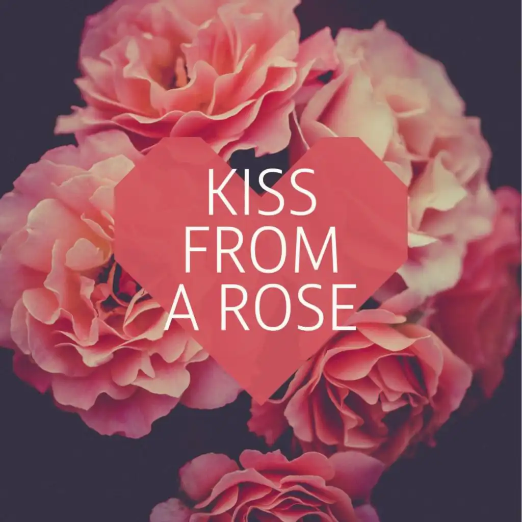 Kiss from a Rose