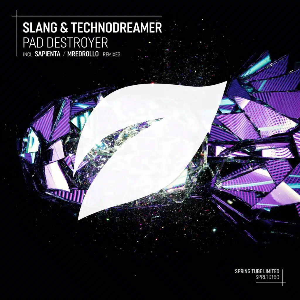 Slang and Technodreamer