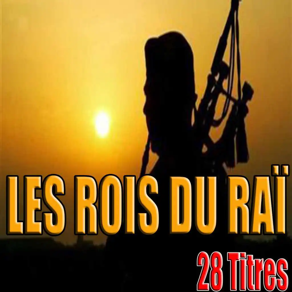 Les Rois du Raï, 28 titres