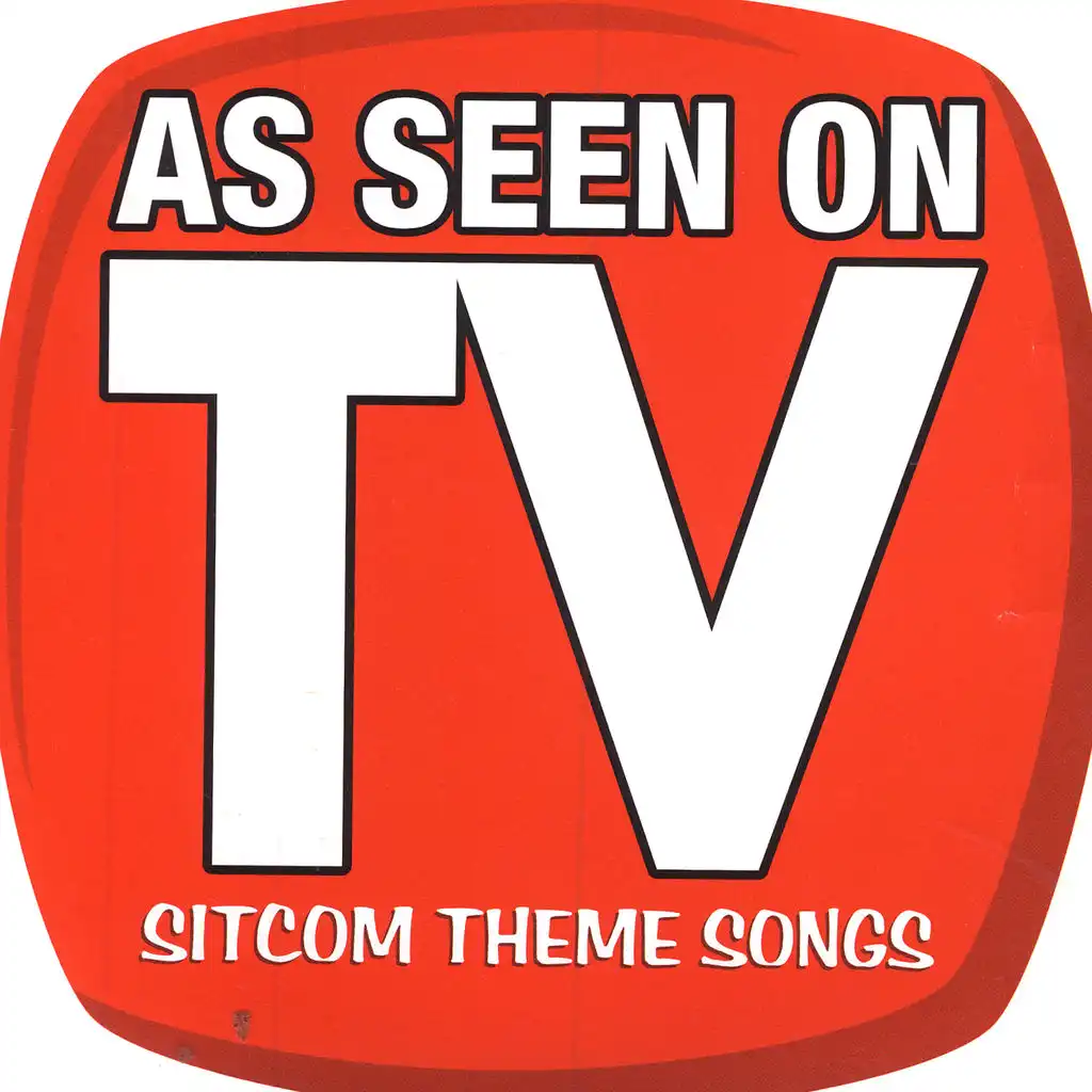 As Seen On TV (Sitcom Theme Songs)