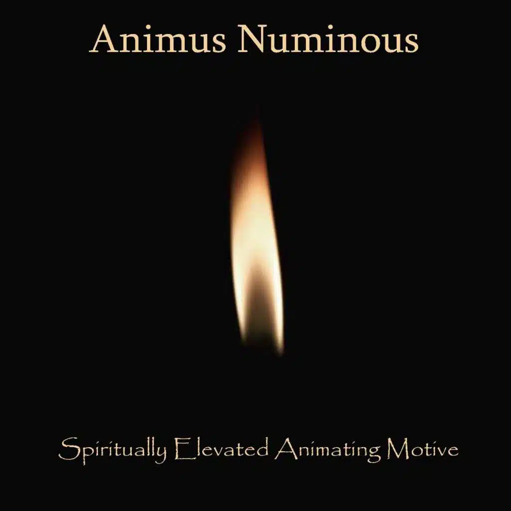 Spiritually Elevated Animating Motive (feat. Tom Desisto)