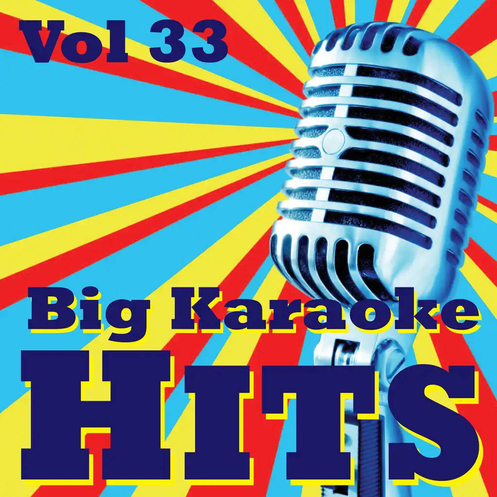 Big Karaoke Hits Vol.33