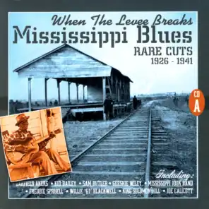 Mississippi Bottom Blues