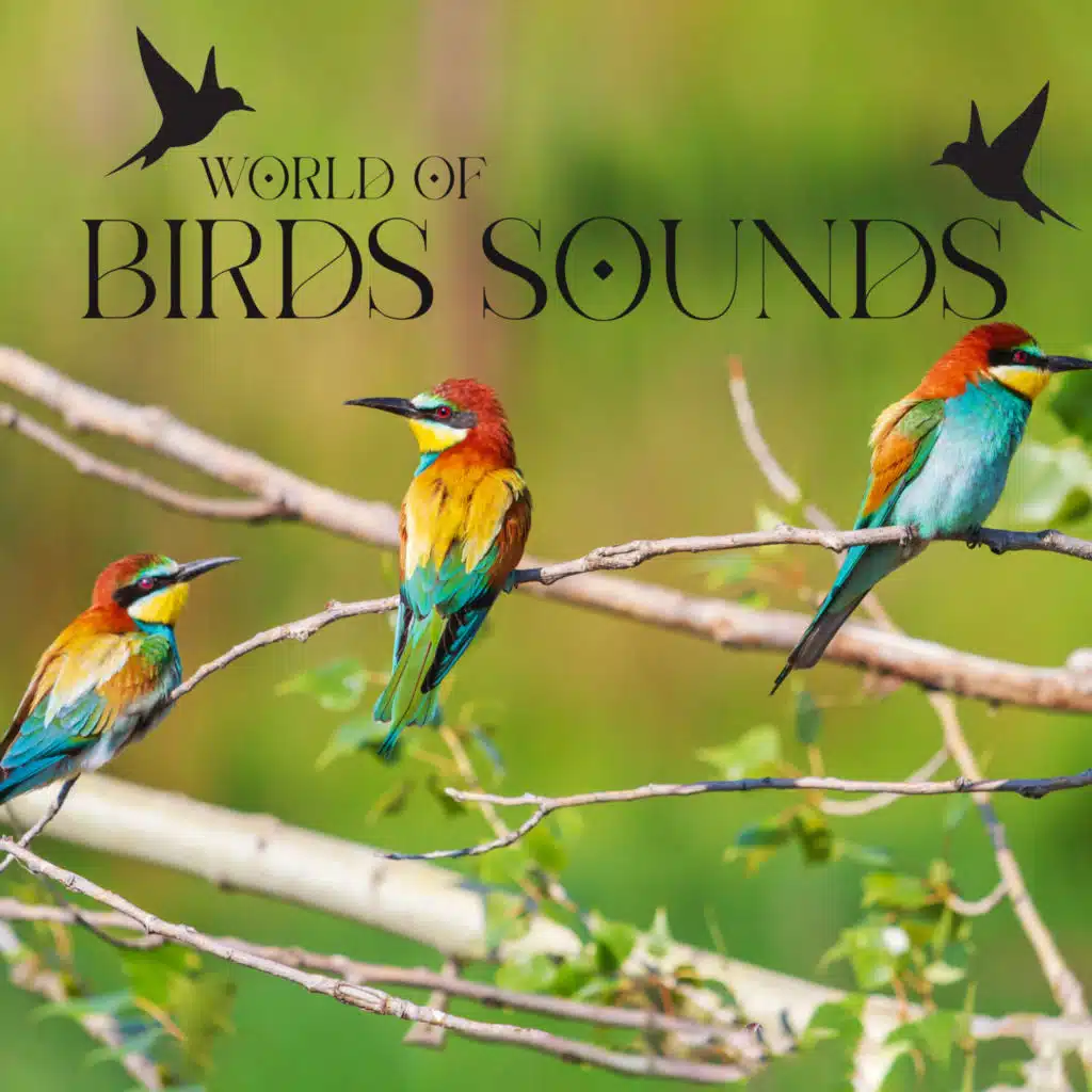 World of Birds Sounds: Amazing Collection of Singing Birds, Relaxing Bird Songs, Nature Sounds